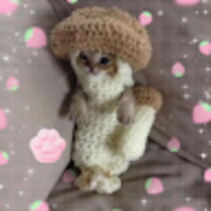 Meet your Posher, Strawbrry